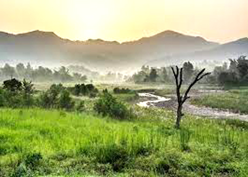 Rajaji National Park in Dehradun