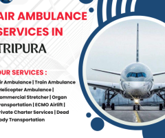 Air Ambulance Services in Kochi Quick Medical Rescue